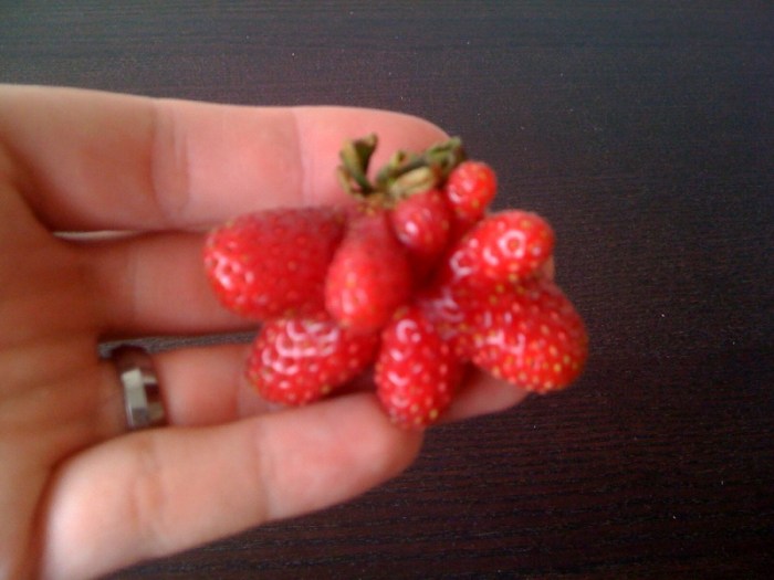 strawberry_mutant